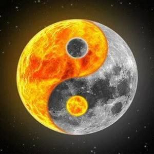 Meet your Posher, Spencer